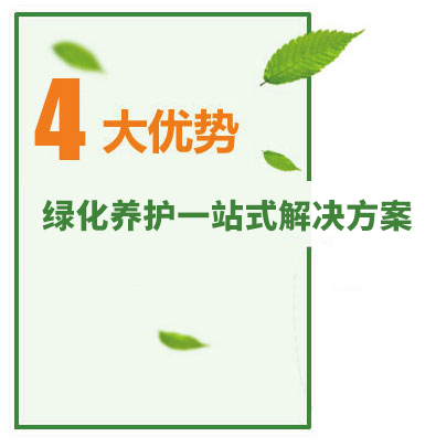 绿化保养 绿化保养