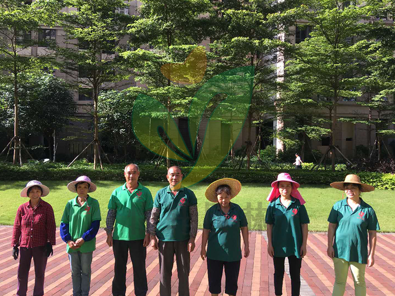 门徒娱乐绿化养护