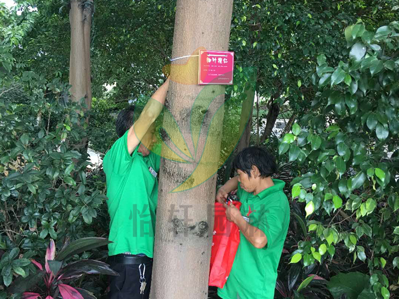 门徒娱乐绿化养护