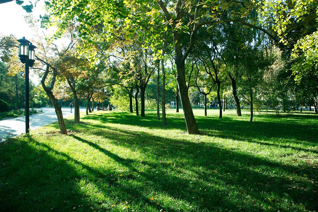 绿化养护 绿化养护