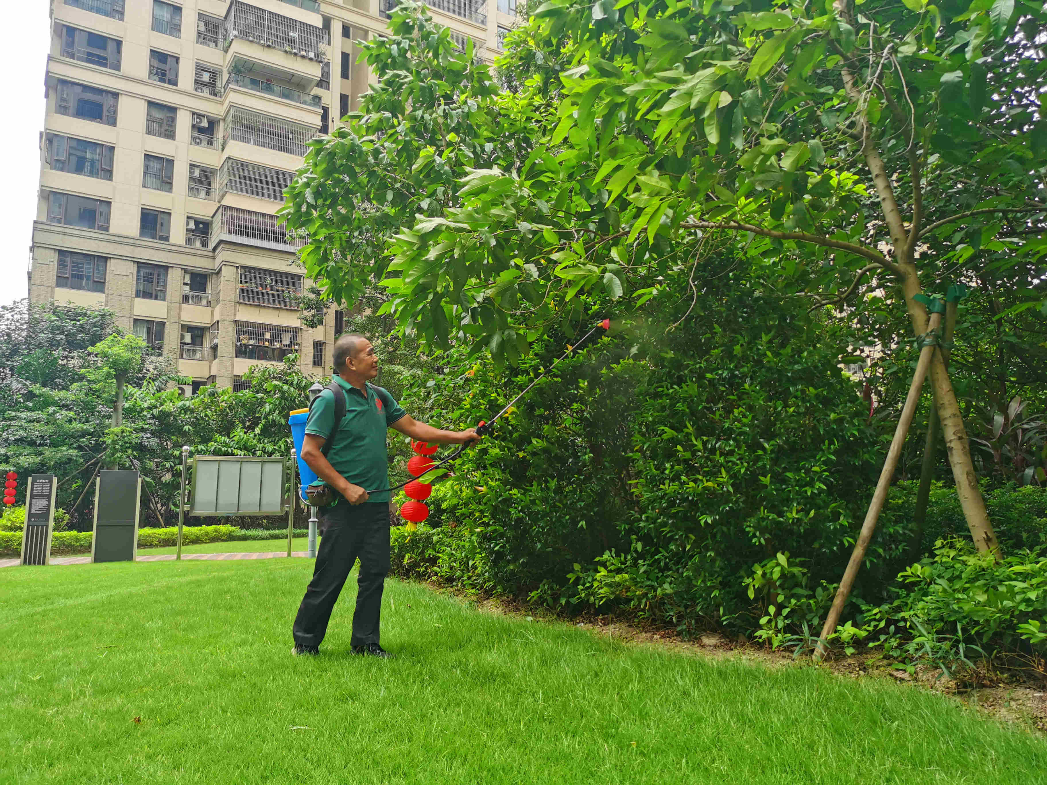 小区绿化养护 小区绿化养护