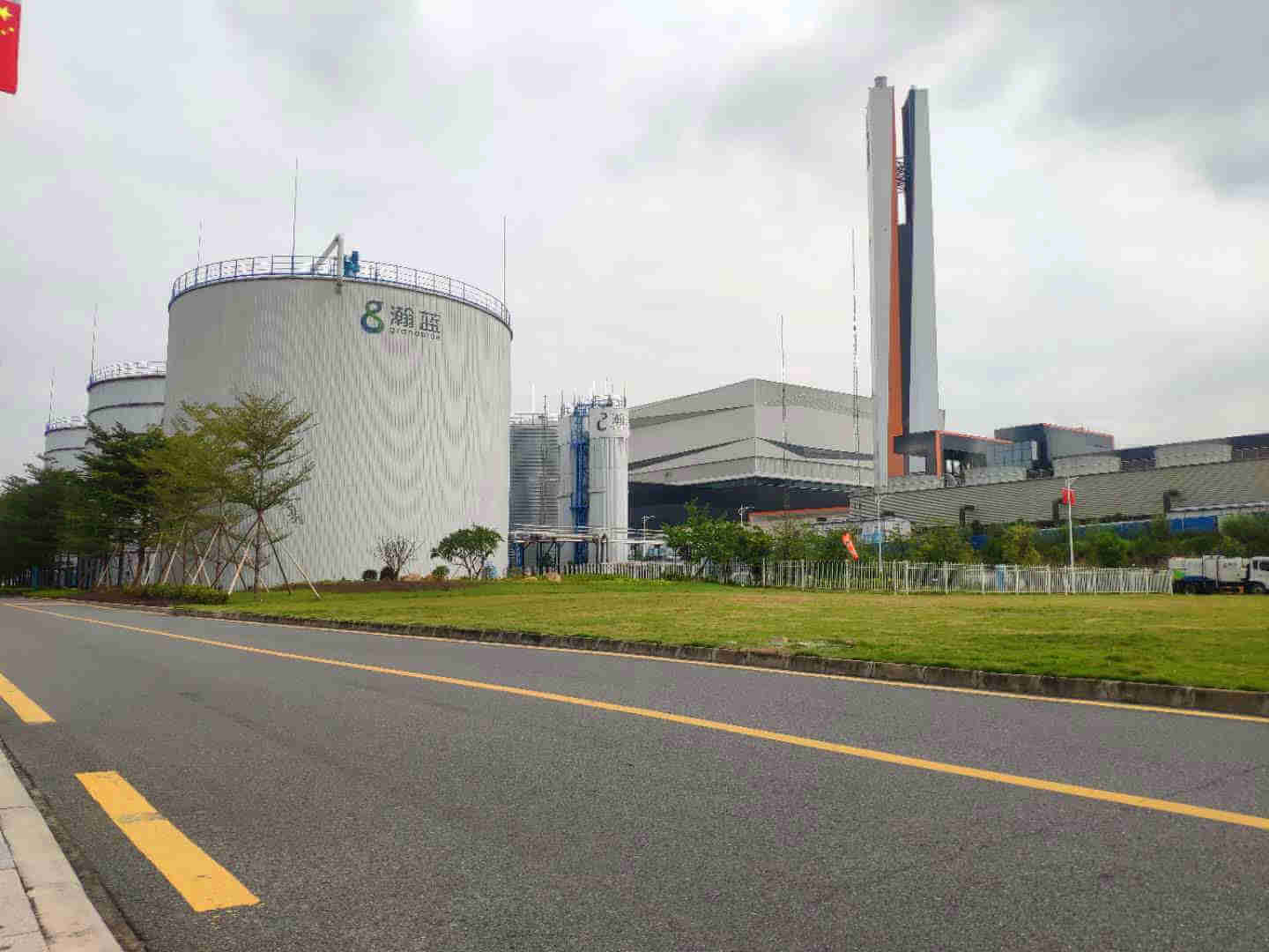 绿化维护 绿化维护