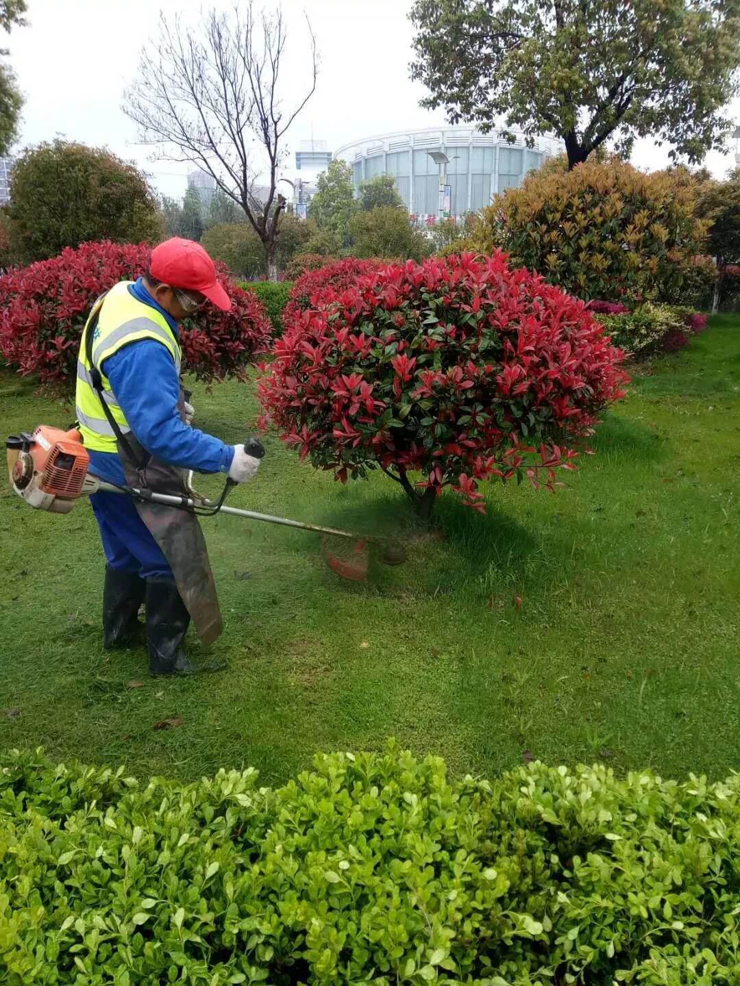 园林绿化养护 园林绿化养护