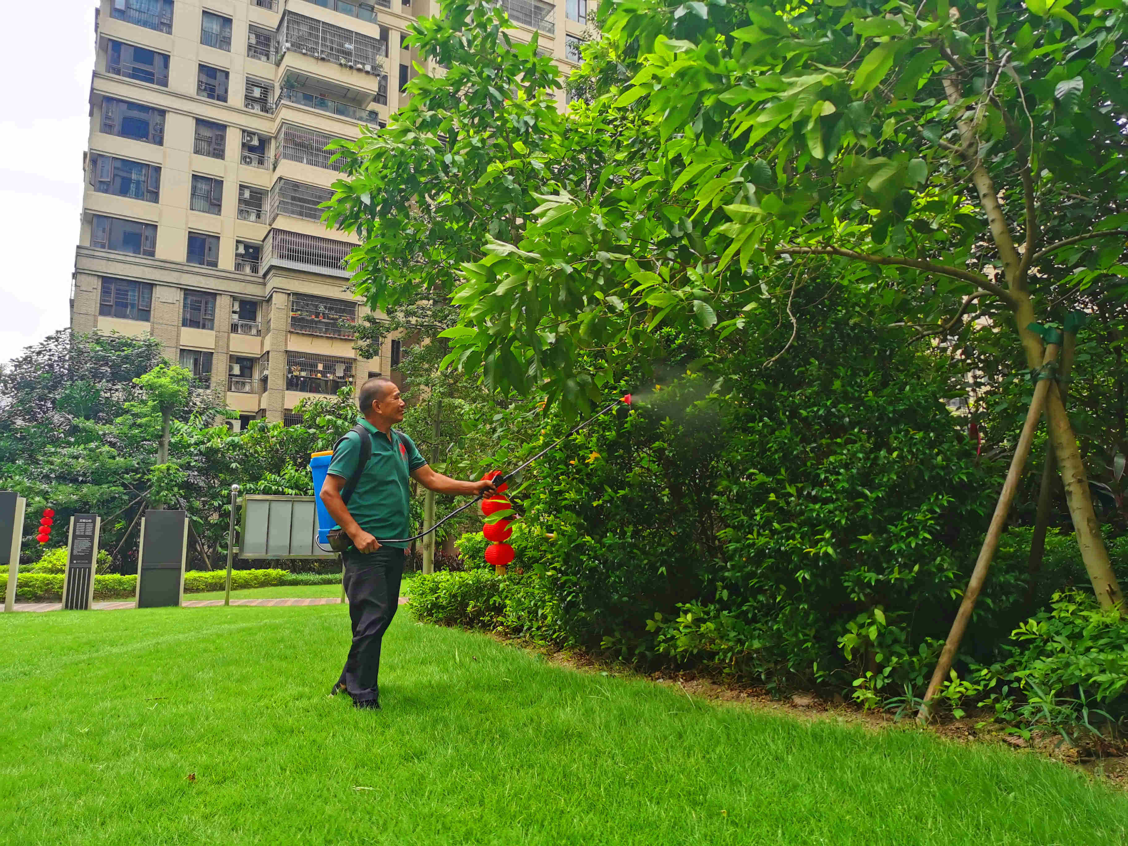 园林绿化养护 园林绿化养护