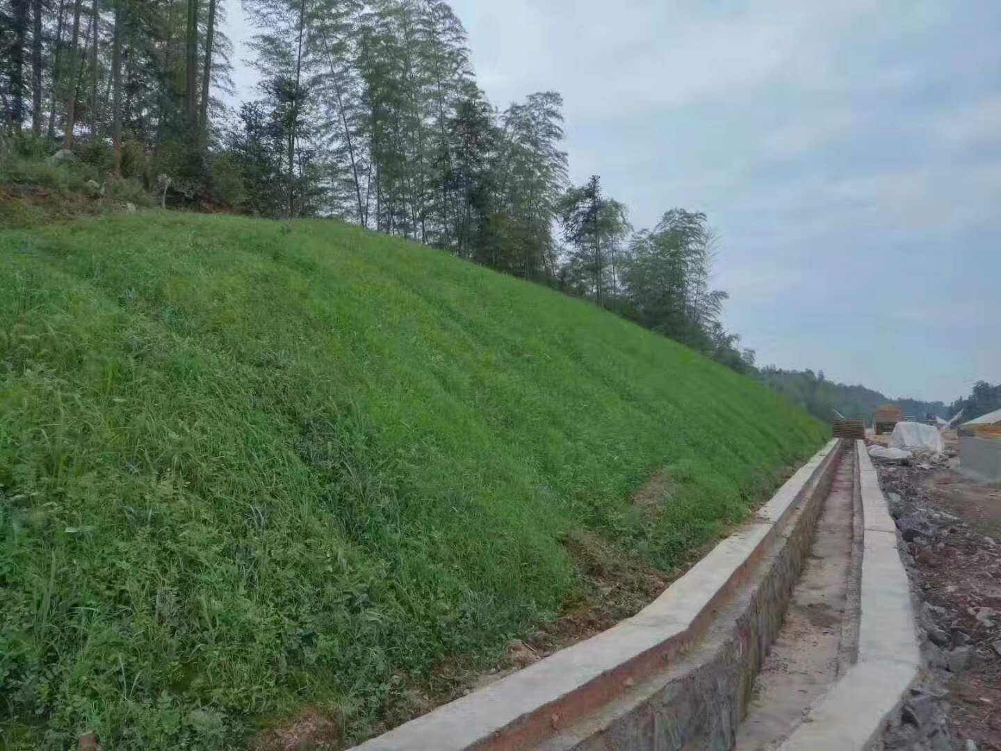 绿化养护 绿化养护