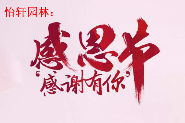 门徒娱乐感恩有你