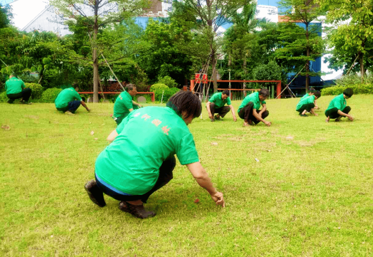 小区绿化养护 小区绿化养护