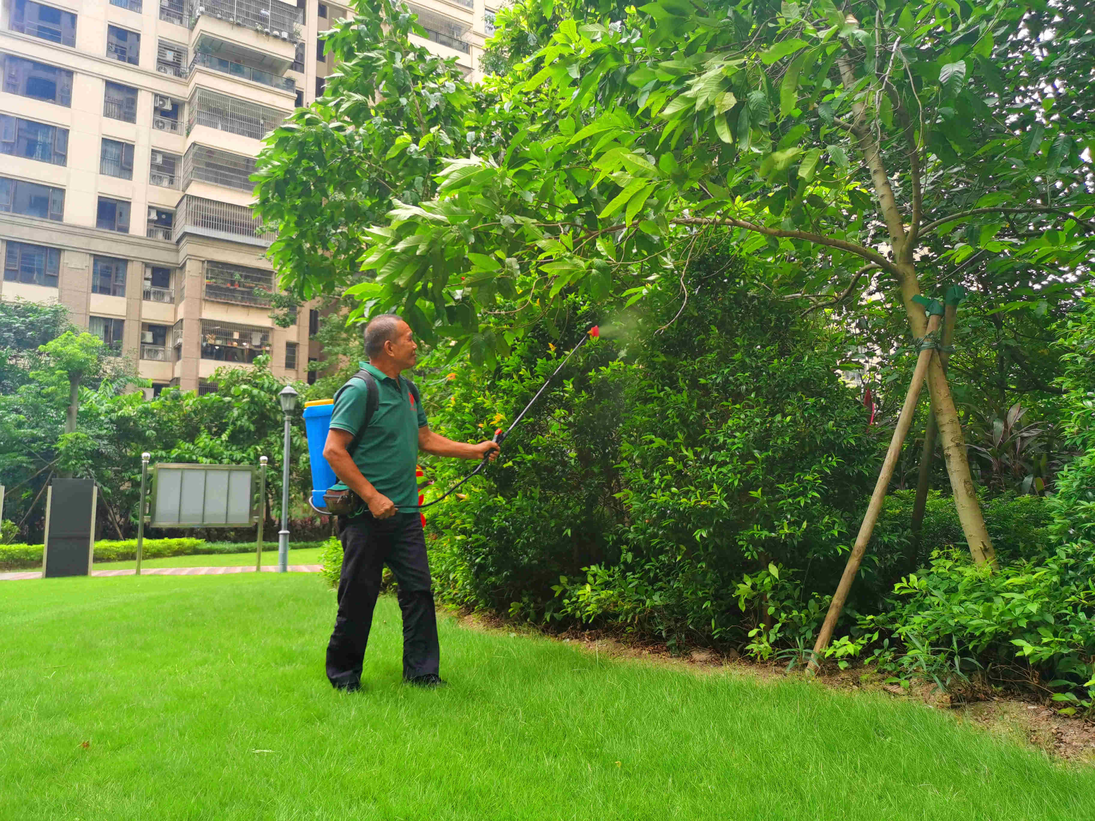 广州逸翠湾小区绿化养护