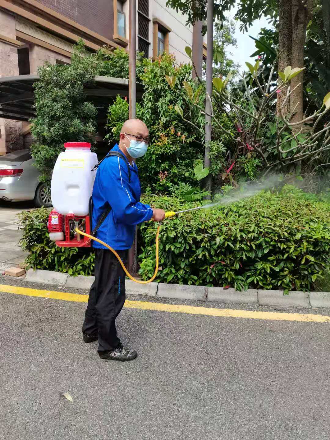 小区绿化养护 小区绿化养护