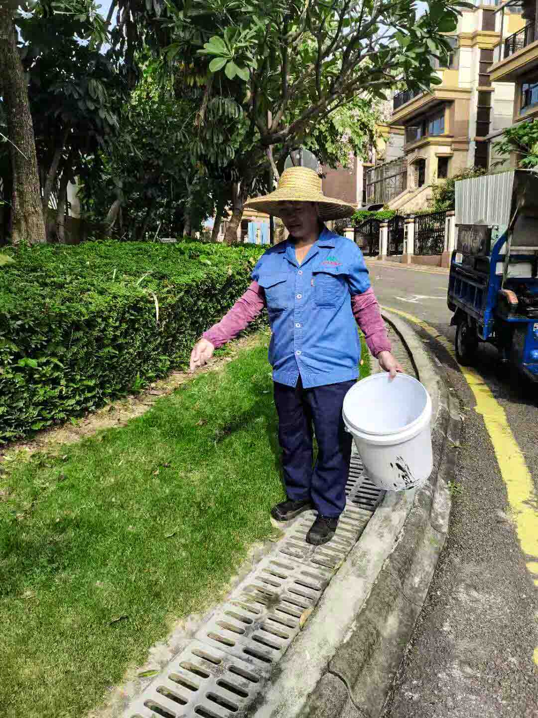 小区绿化养护 小区绿化养护