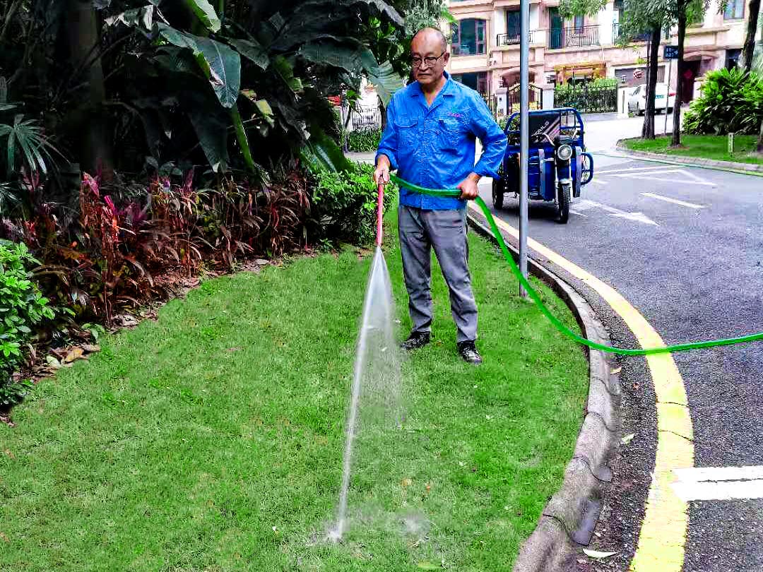 小区绿化养护 小区绿化养护