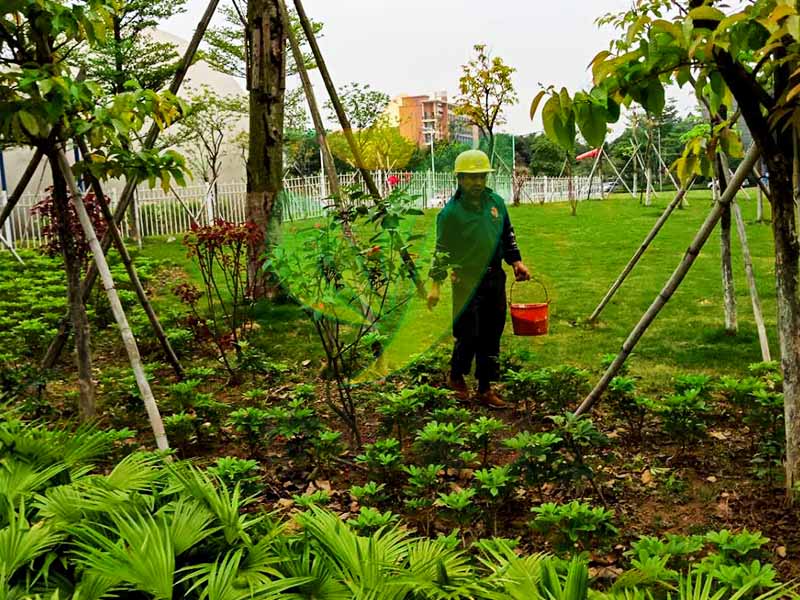 工厂绿化养护 工厂绿化养护