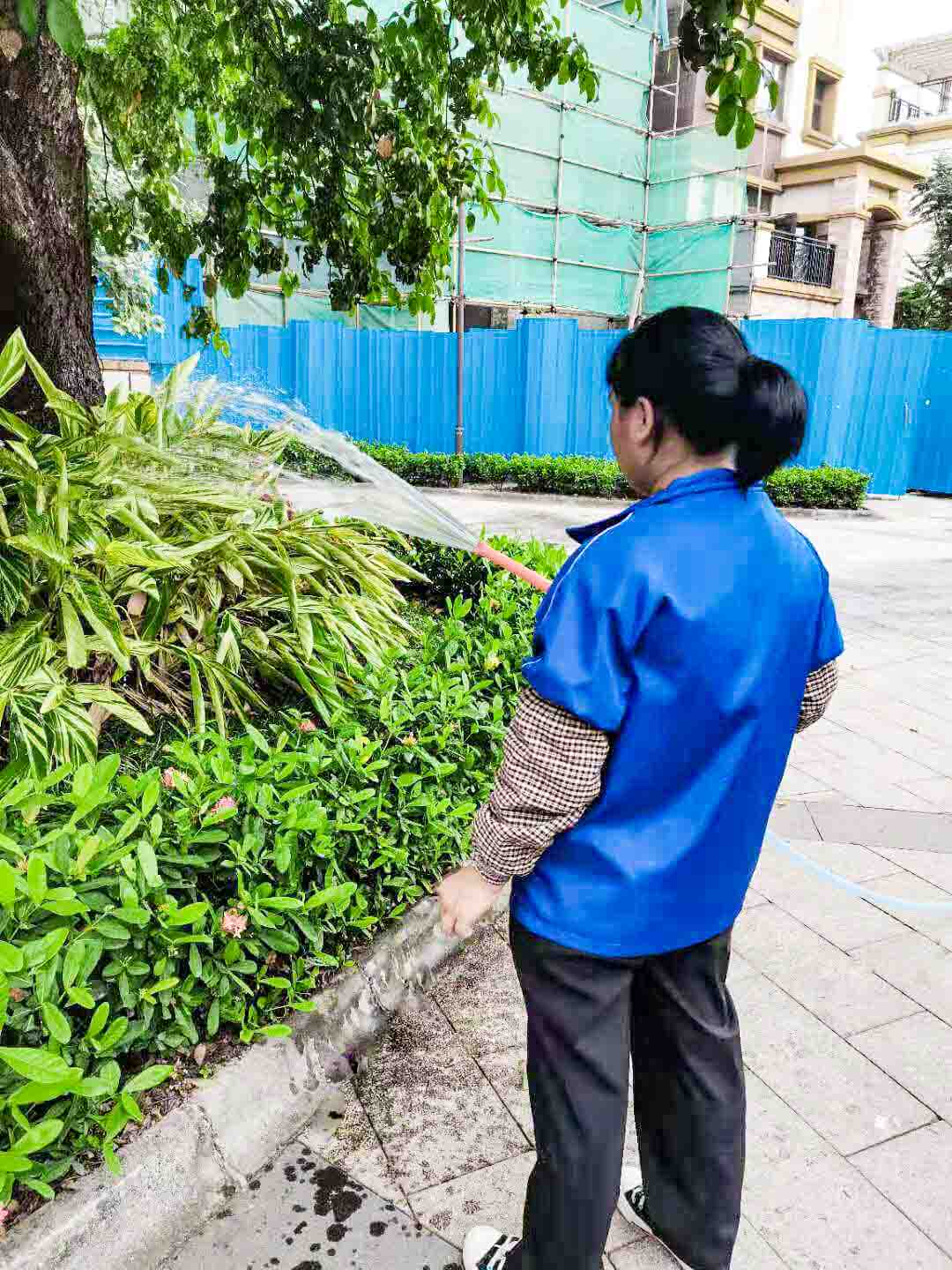 小区绿化养护 小区绿化养护