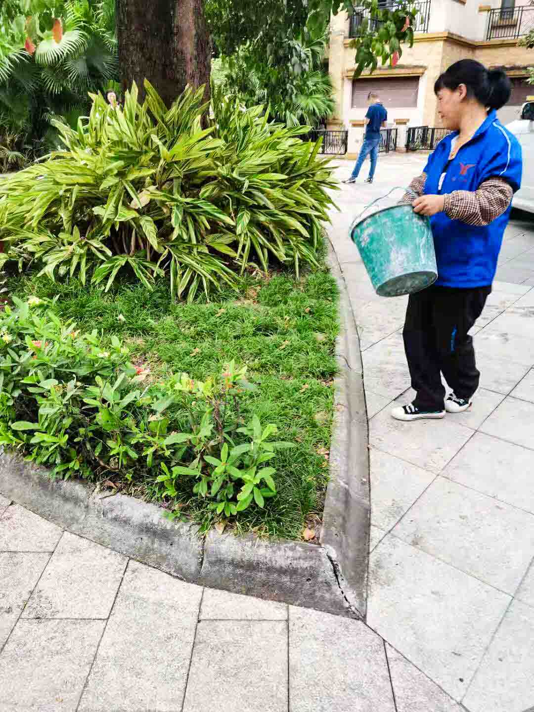 小区绿化养护 小区绿化养护