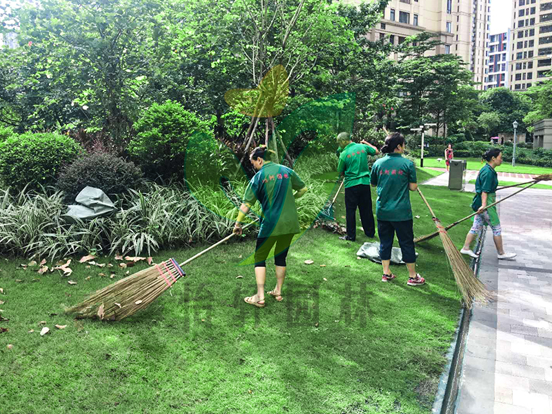 小区绿化养护