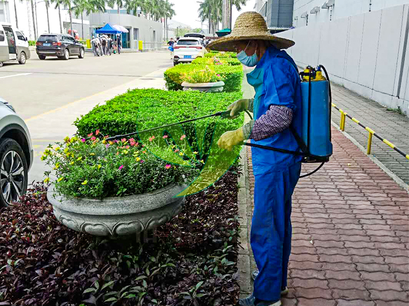 工厂绿化养护