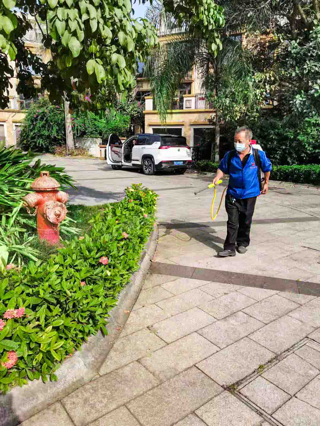 小区绿化养护 小区绿化养护