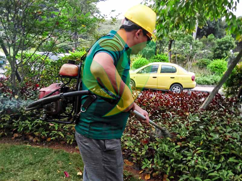 工厂绿化养护 工厂绿化养护