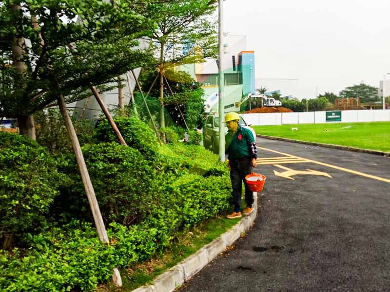 工厂绿化养护 工厂绿化养护