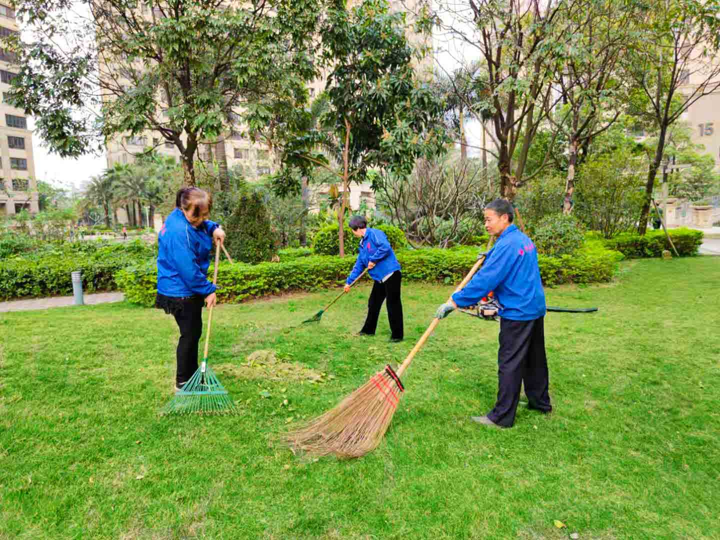 佛山园林绿化养护、佛山园林绿化养护公司、园林绿化养护