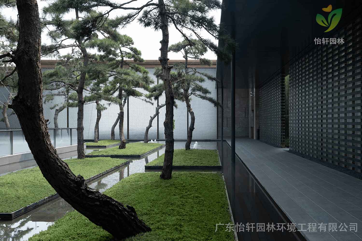 绿化工程 绿化工程