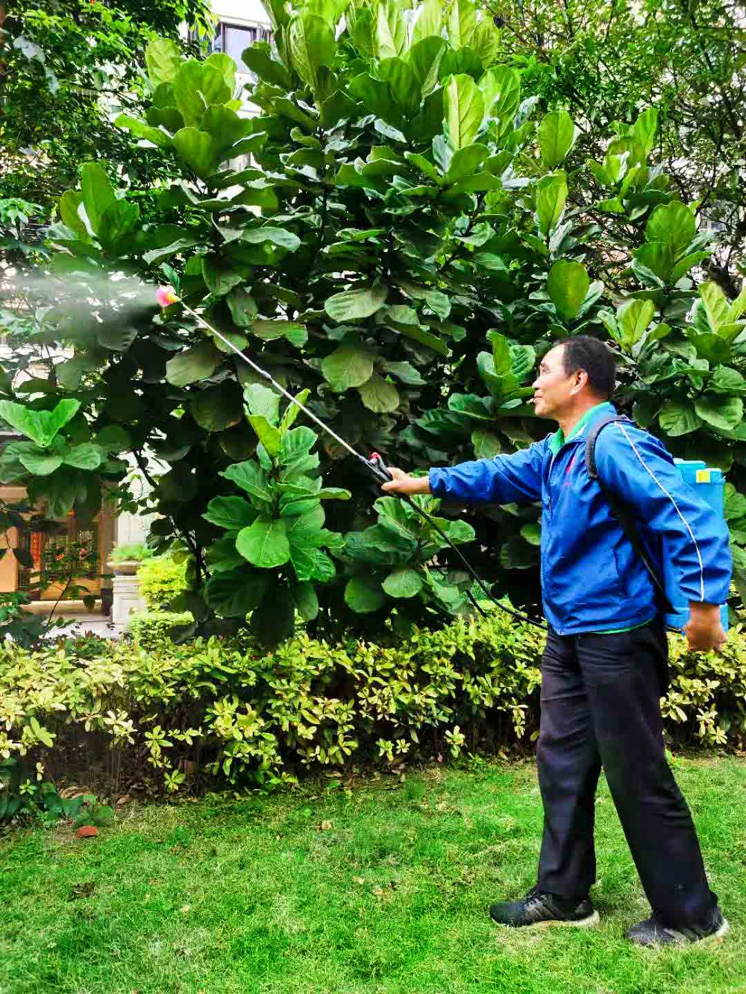 药剂喷洒,园林绿化