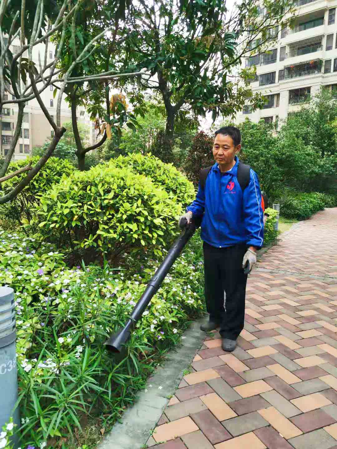 佛山园林绿化公司,绿化养护