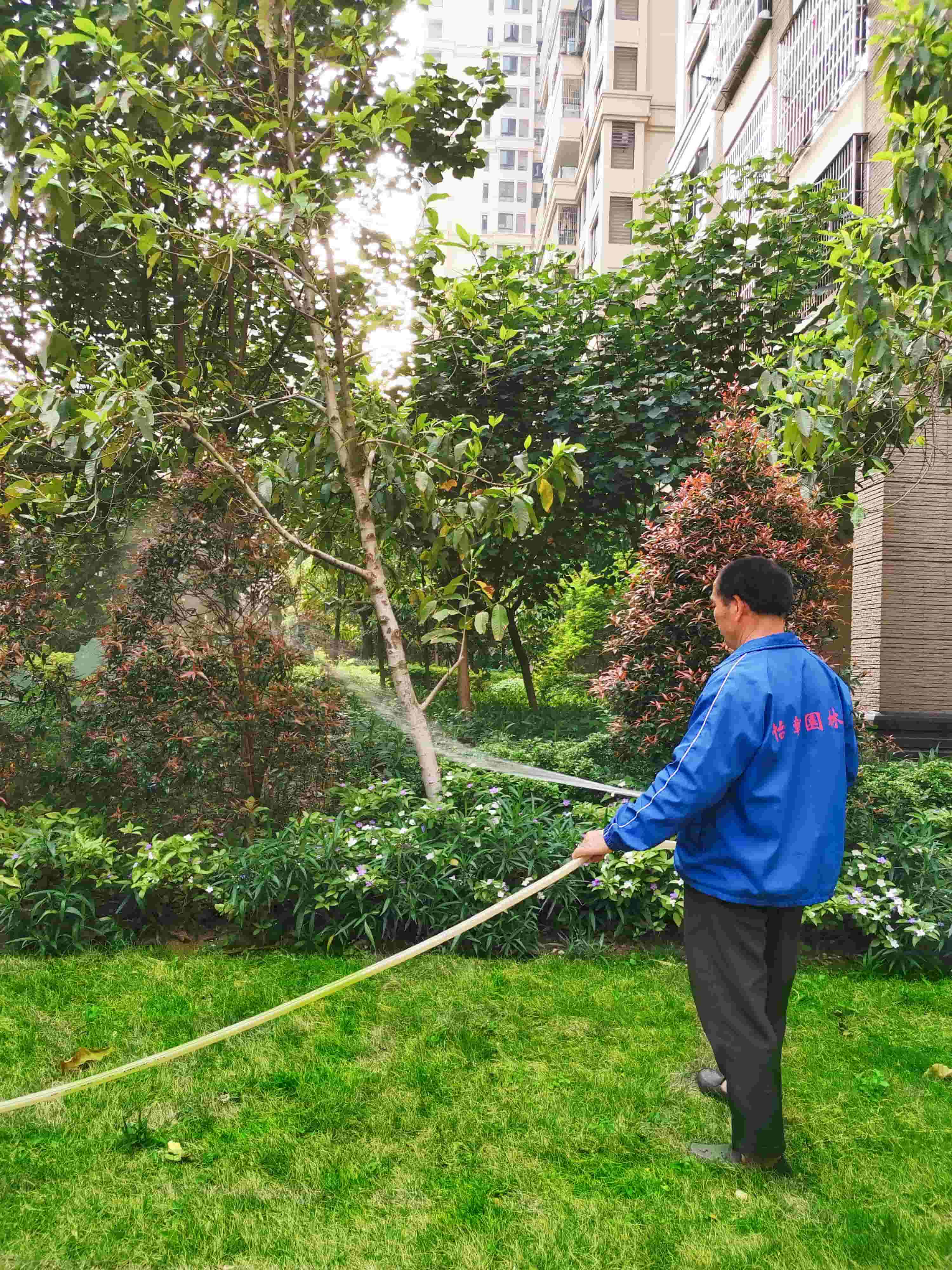 广州园林绿化公司