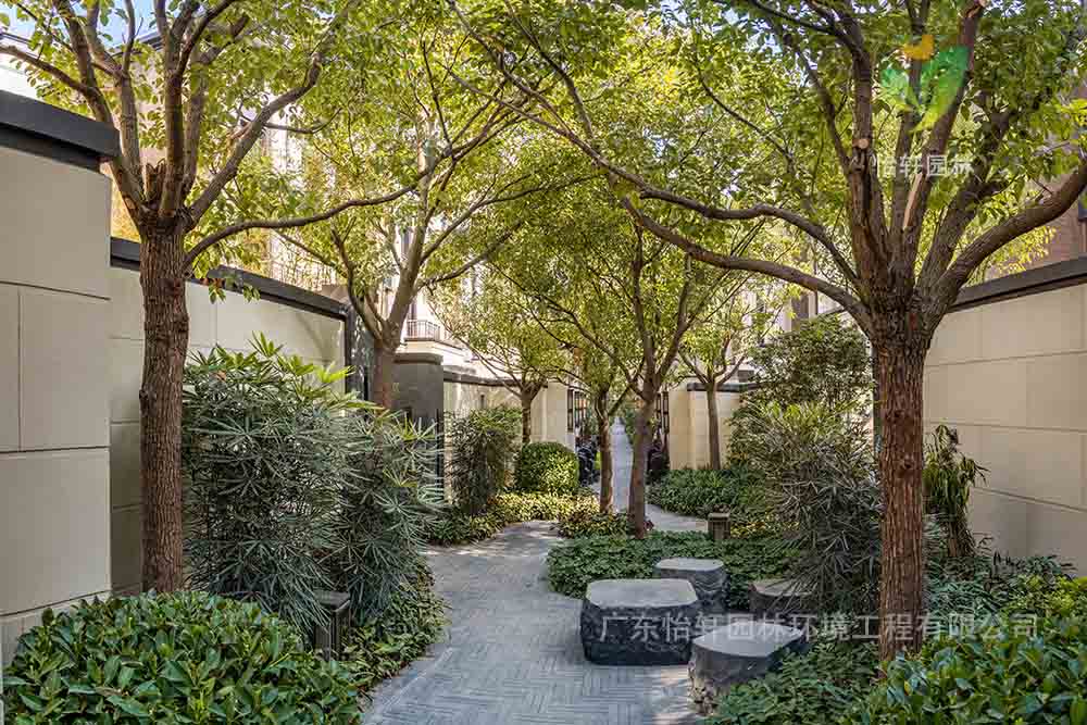 景观设计 景观设计