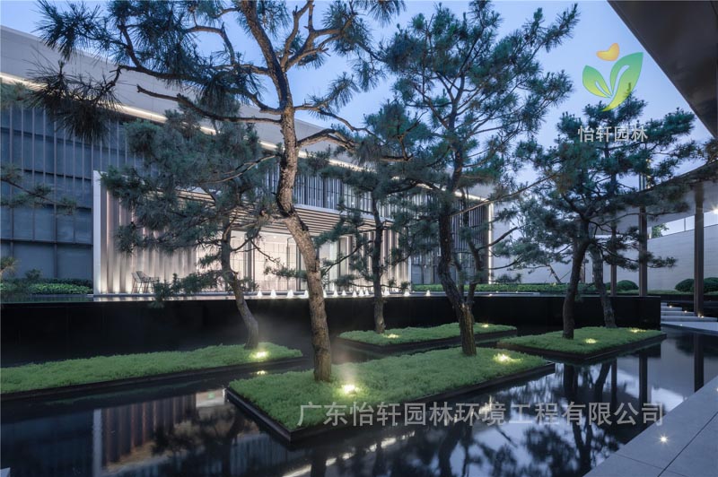 景观设计 景观设计