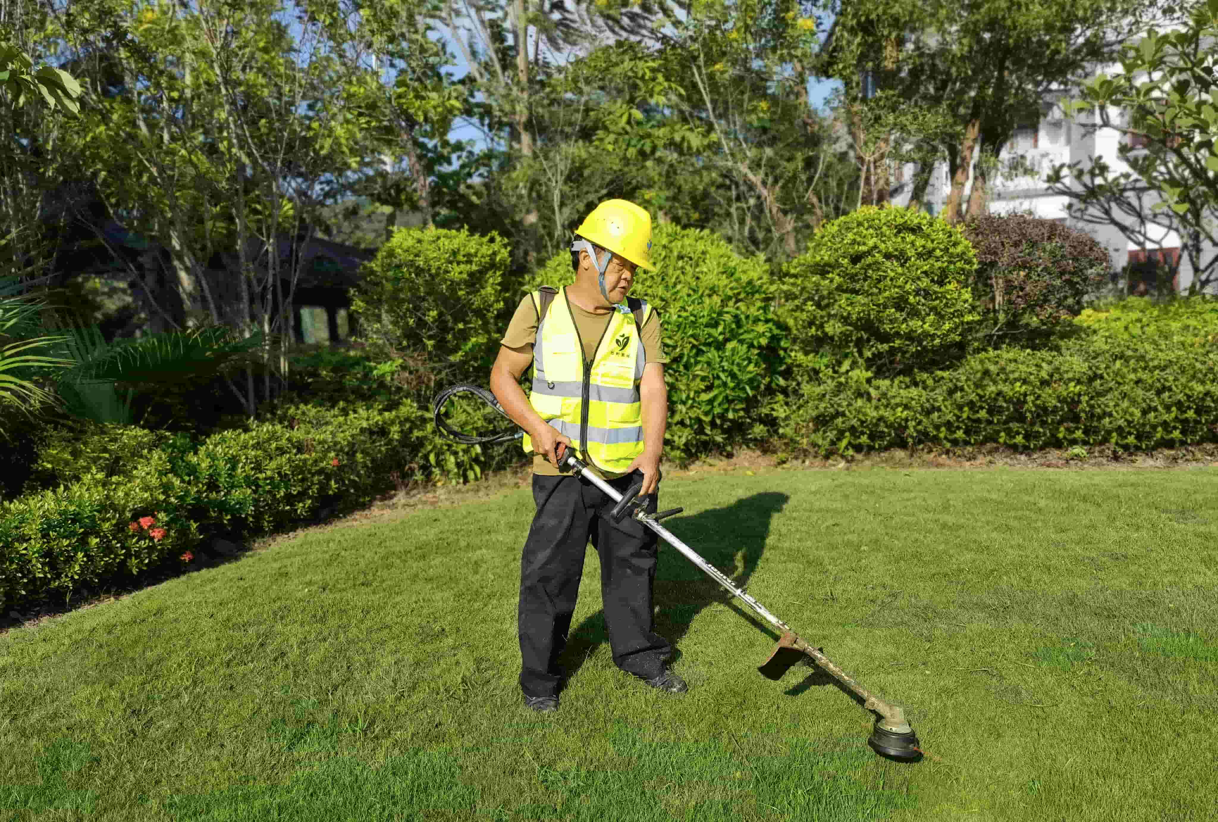 地被植物，广州绿化工程公司