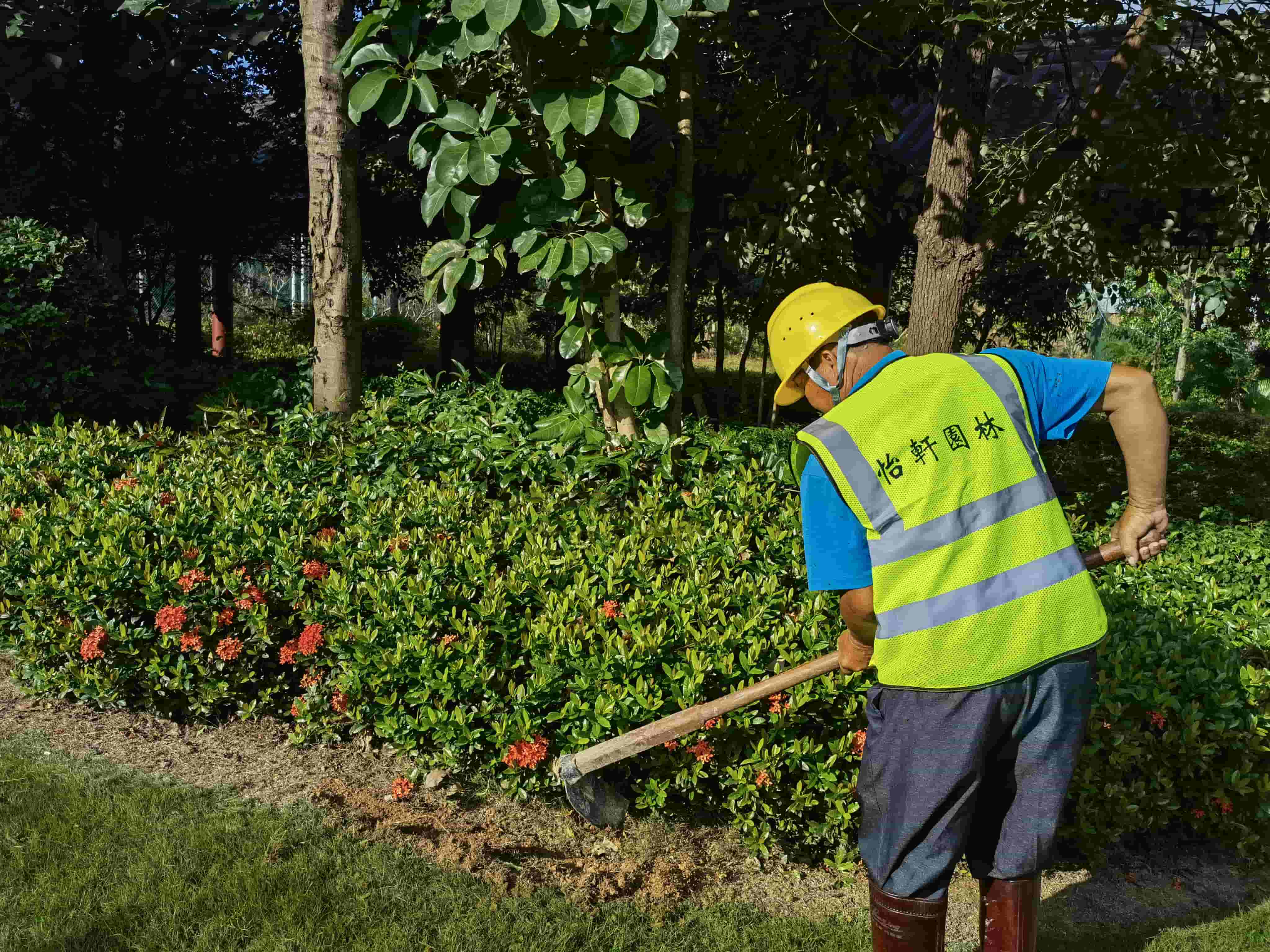 园林景观，深圳绿化公司