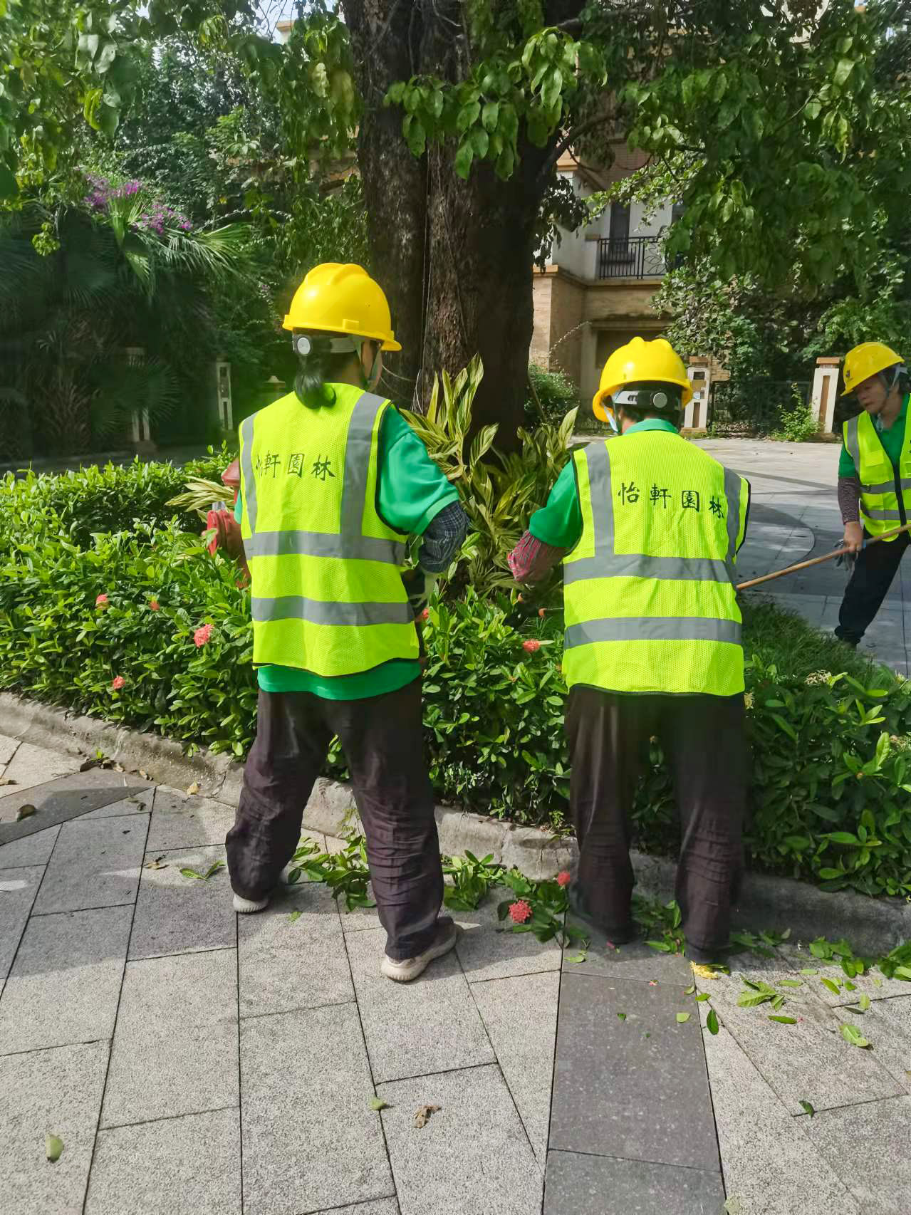 绿化工程 绿化工程