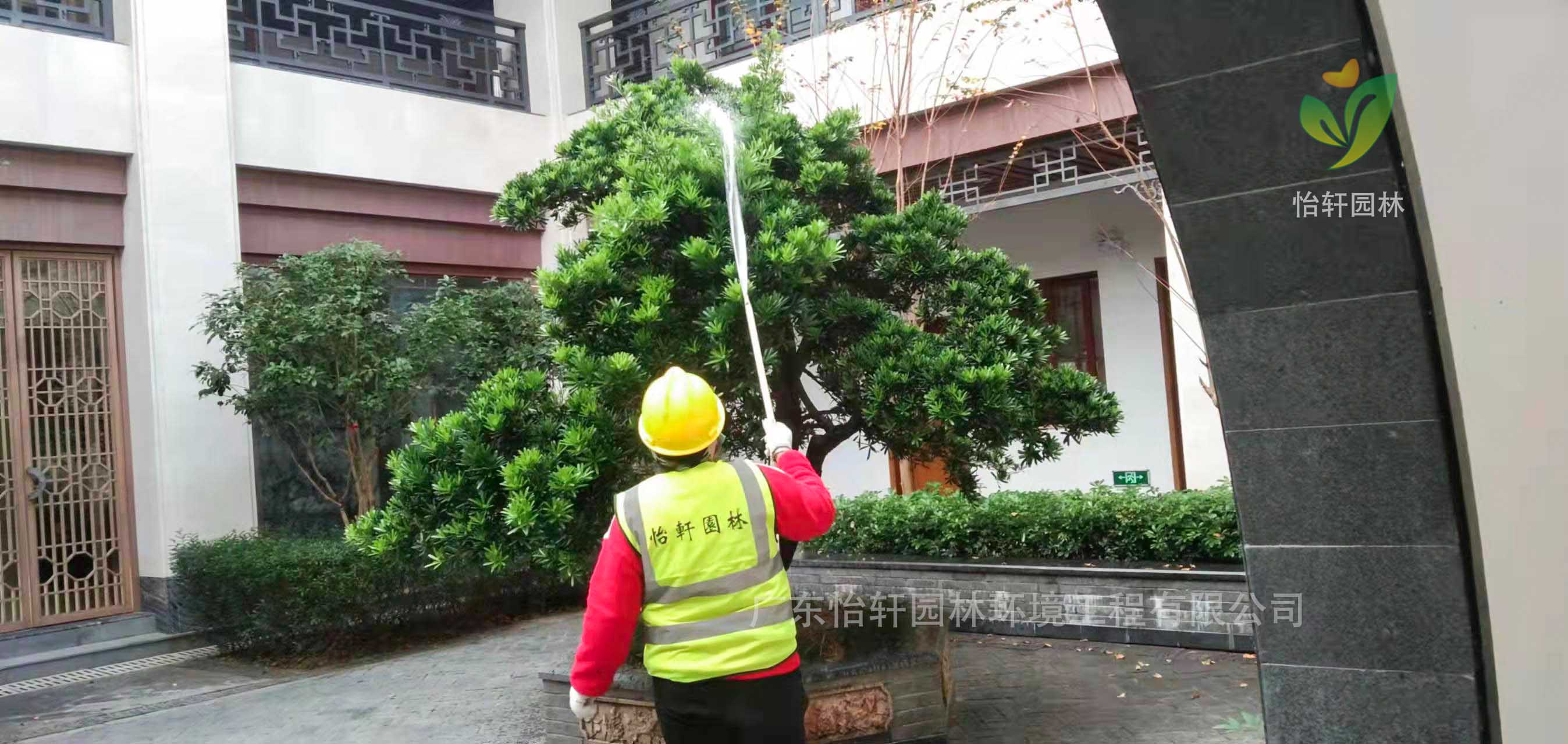 绿化养护 绿化养护