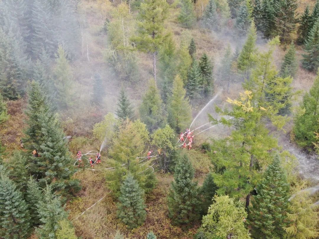 森林草原防火,园林绿化公司