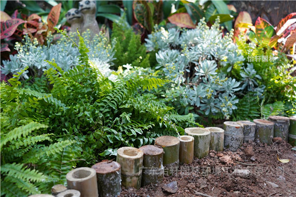 景观设计 景观设计