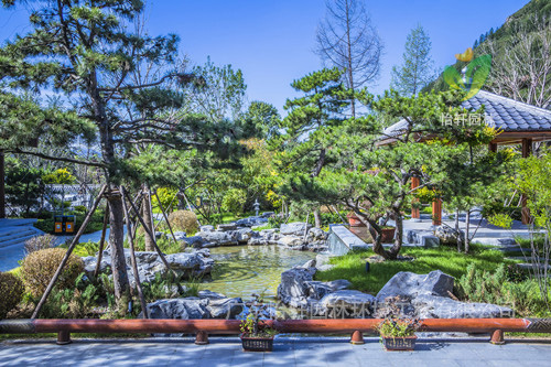 绿化工程 绿化工程