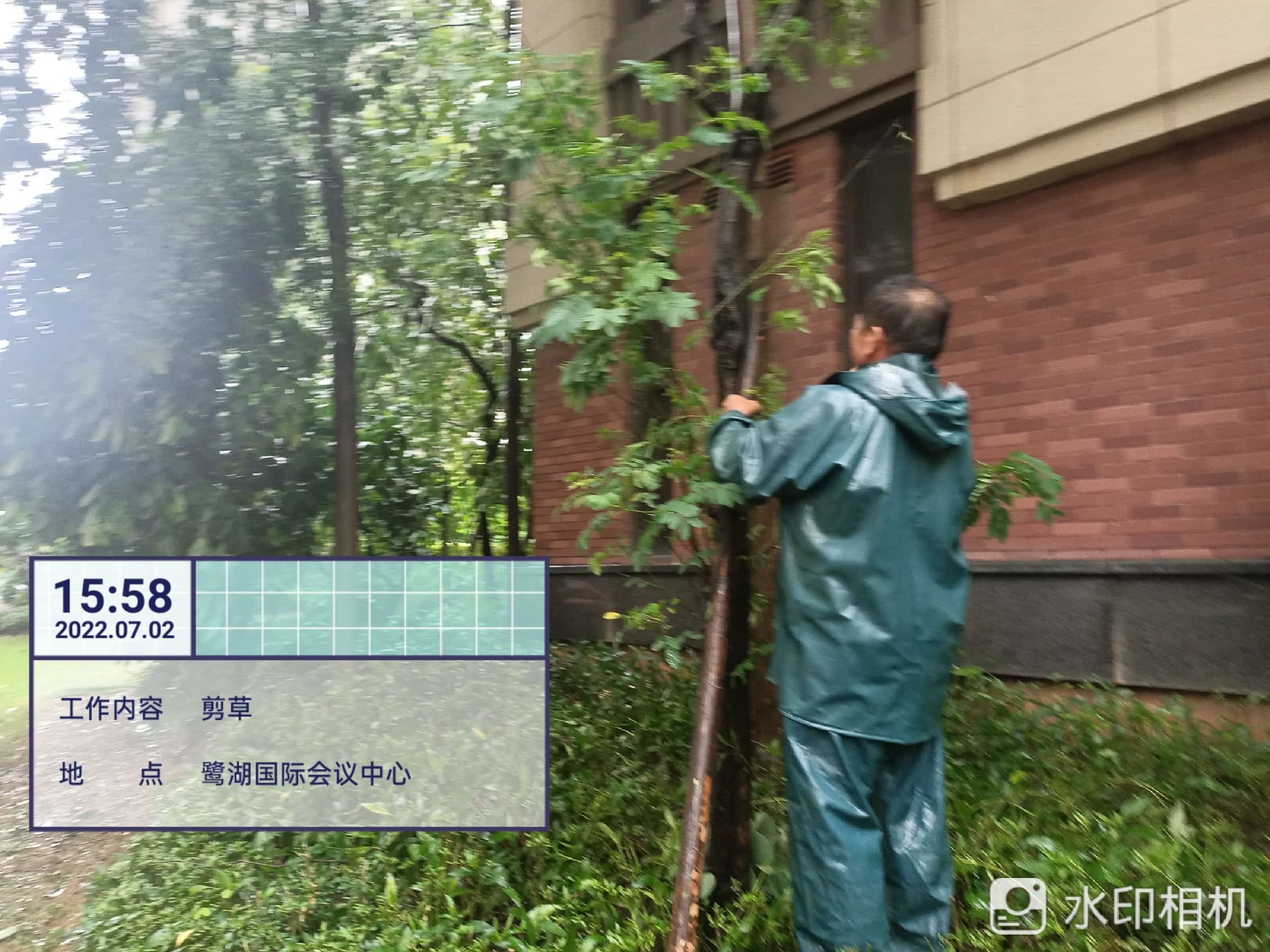 园林绿化公司,绿化养护,园林绿化