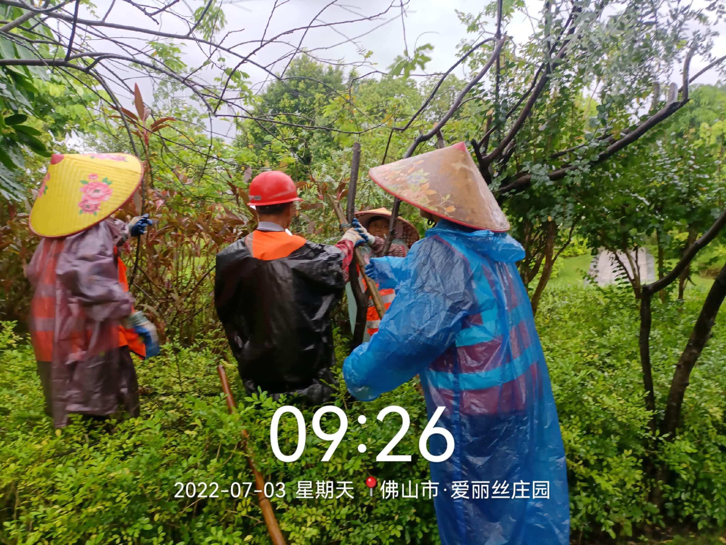 园林绿化公司,绿化养护,园林绿化