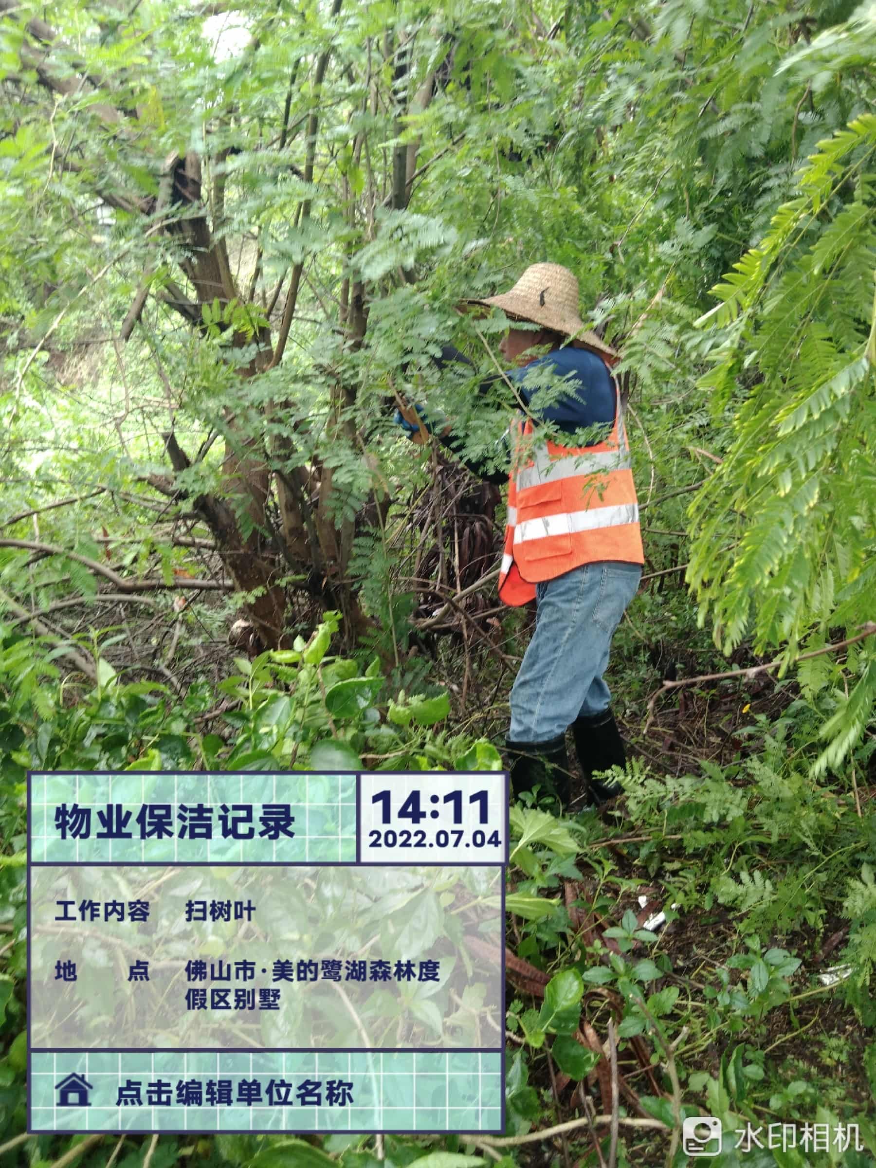 园林绿化公司,绿化养护,园林绿化