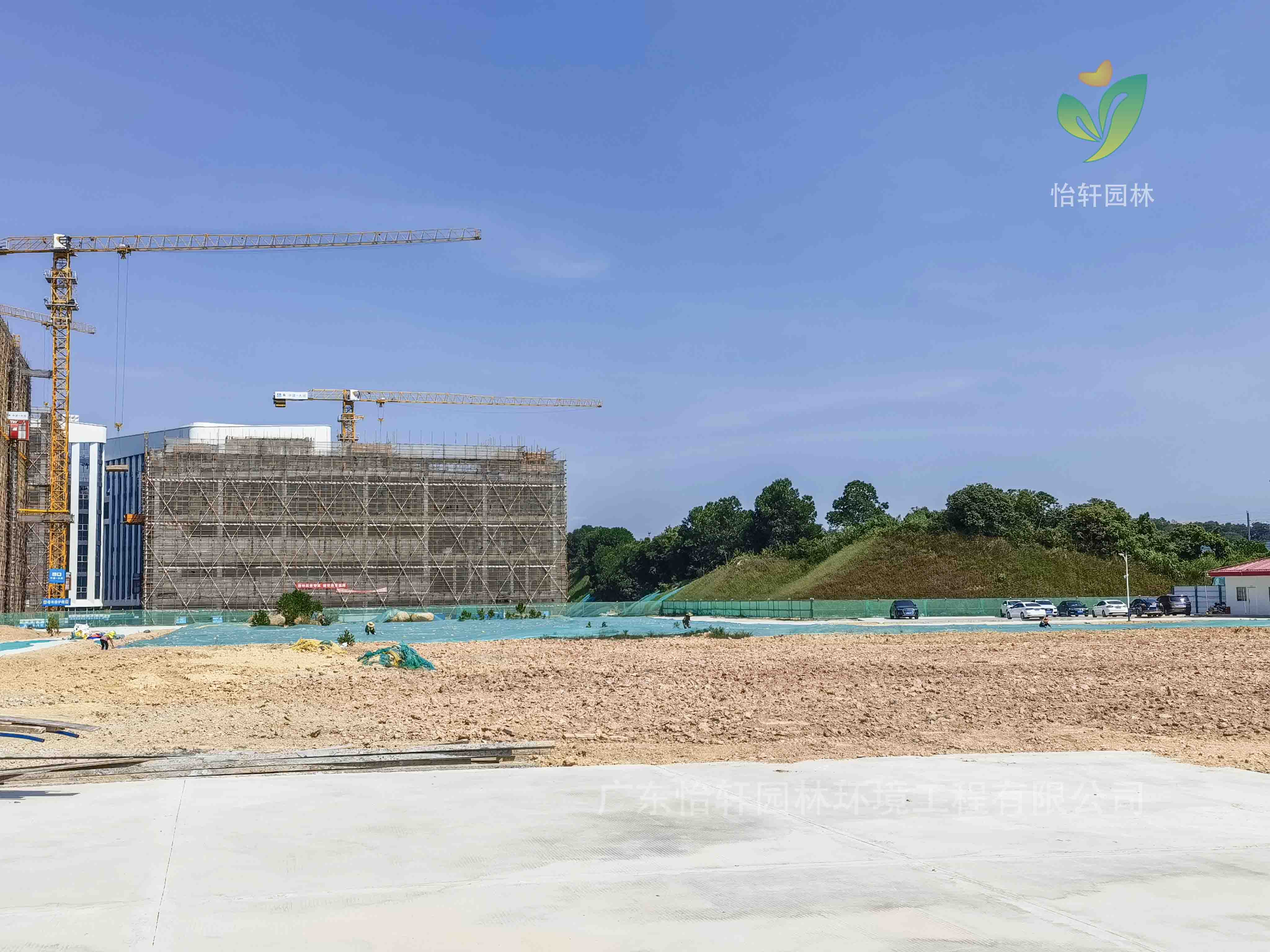 园林绿化,绿化工程