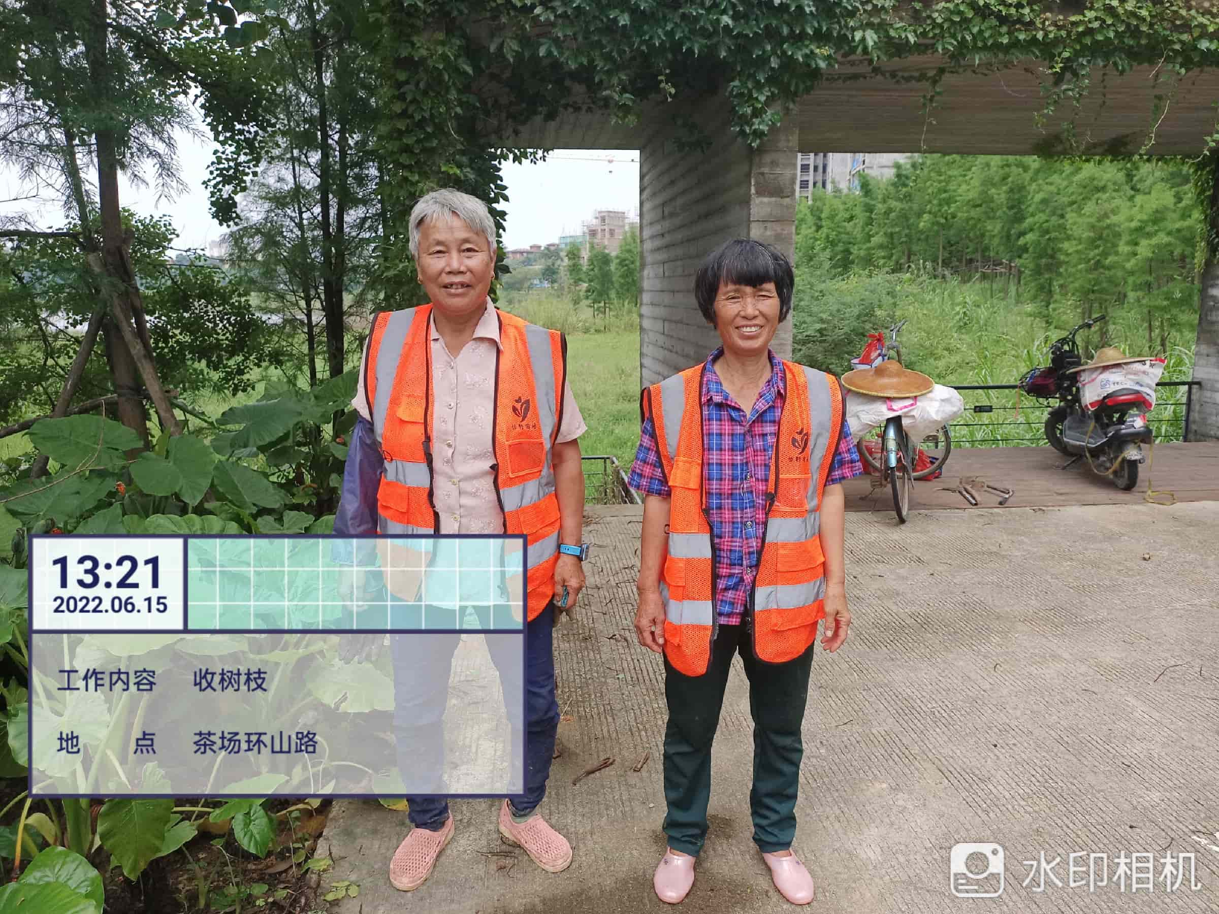 园林绿化养护,美的鹭湖