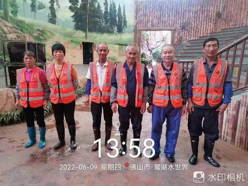 园林绿化养护,美的鹭湖