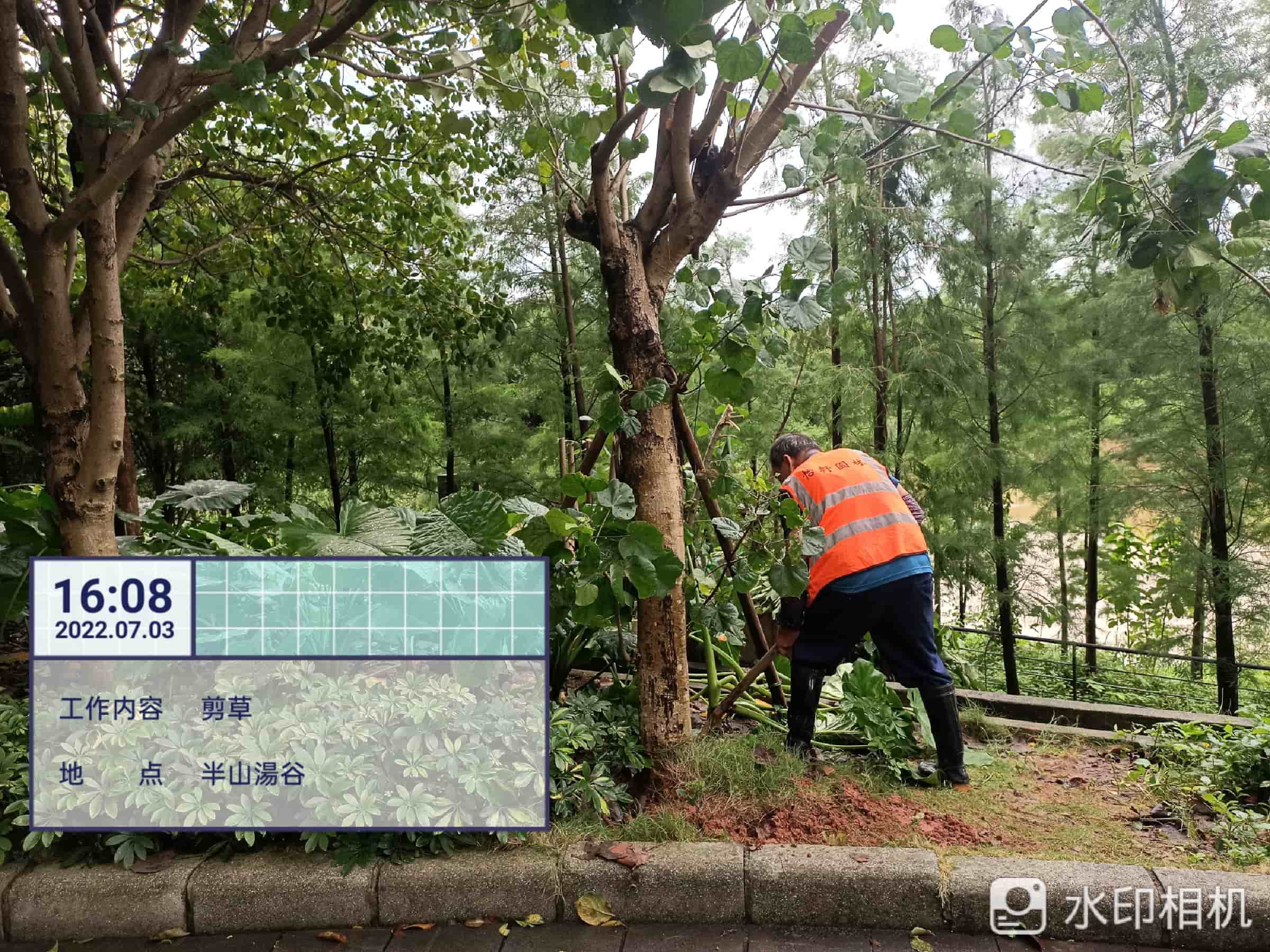 园林绿化养护,美的鹭湖