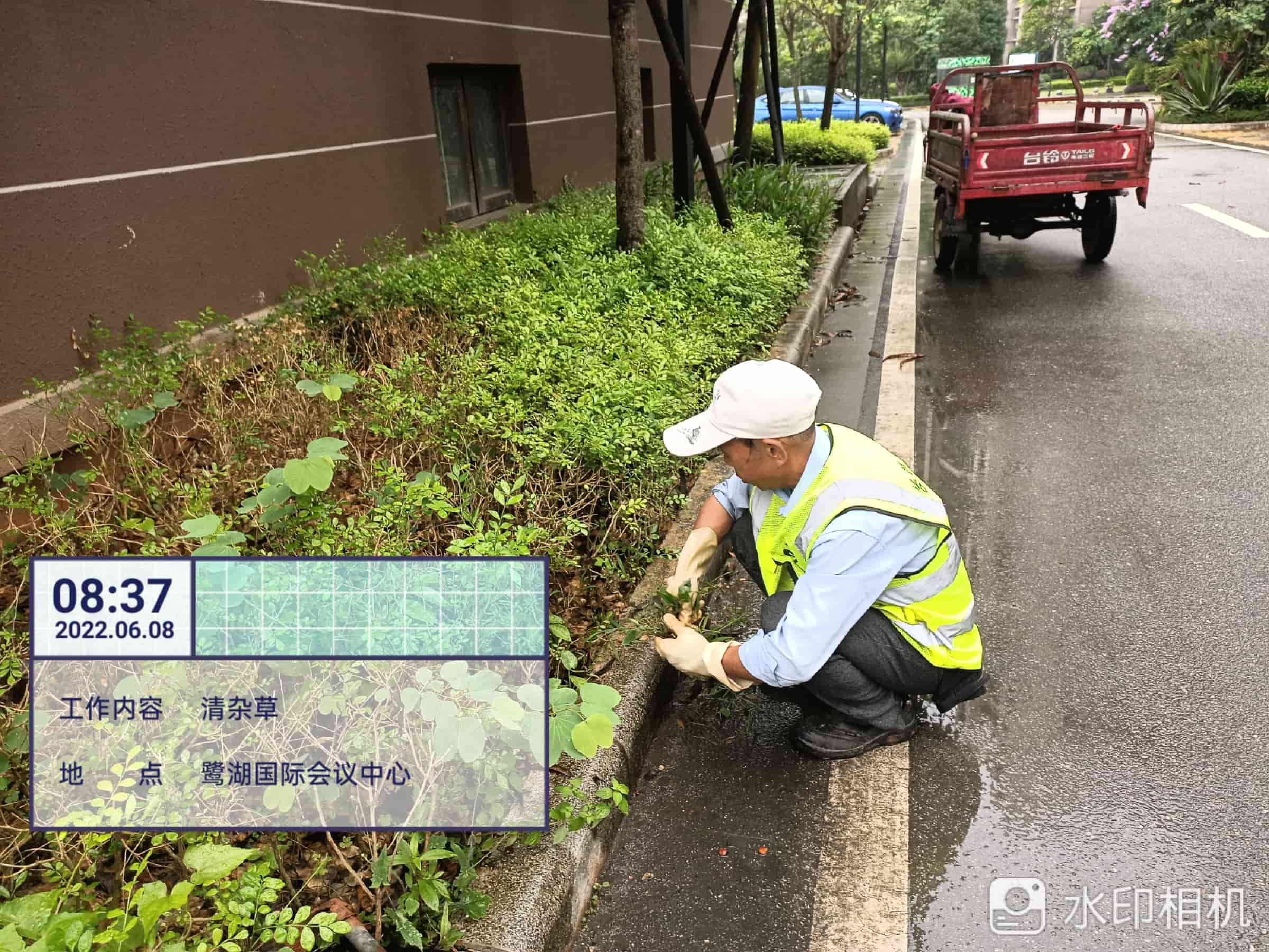 园林养护,美的鹭湖