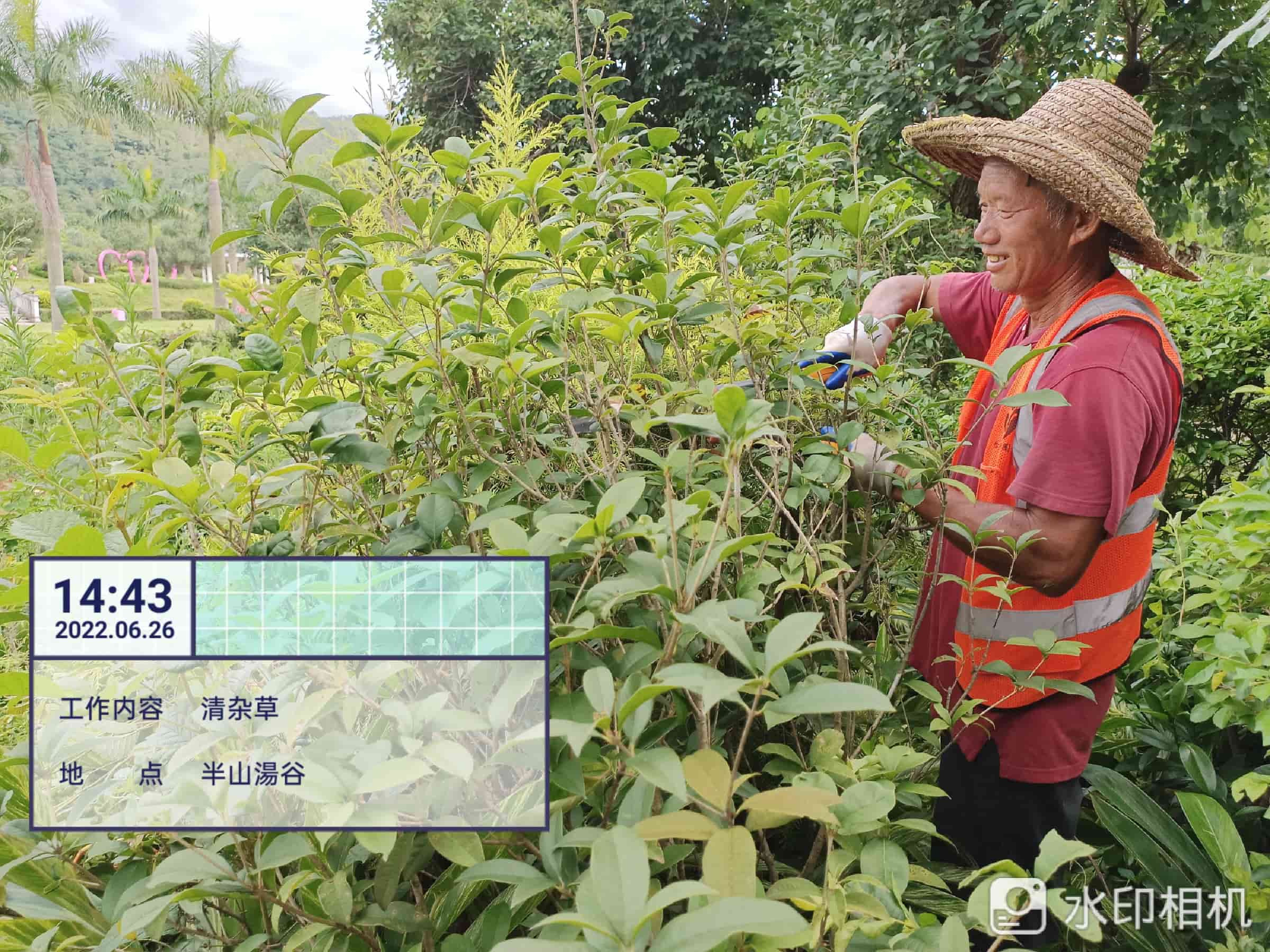 园林养护,美的鹭湖