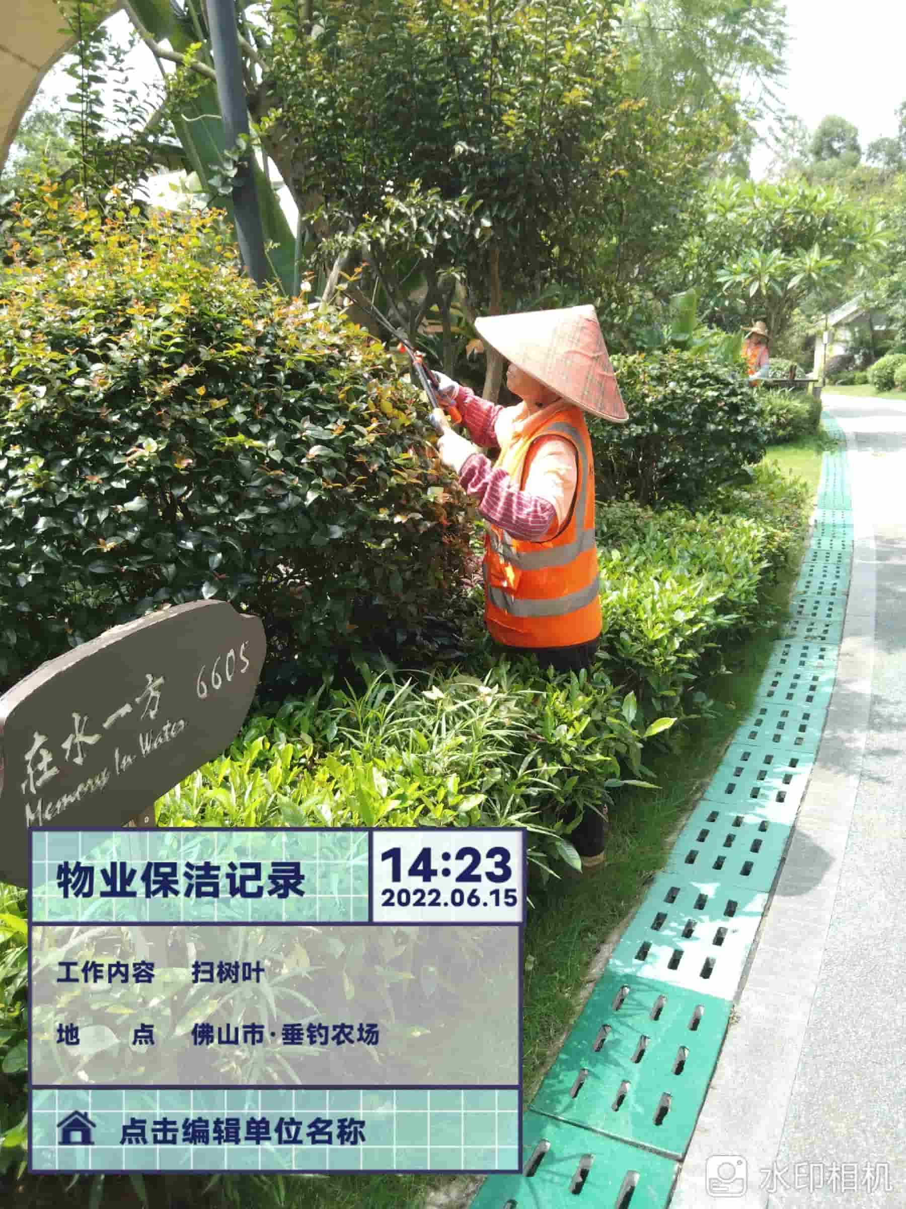 园林绿化公司,植物