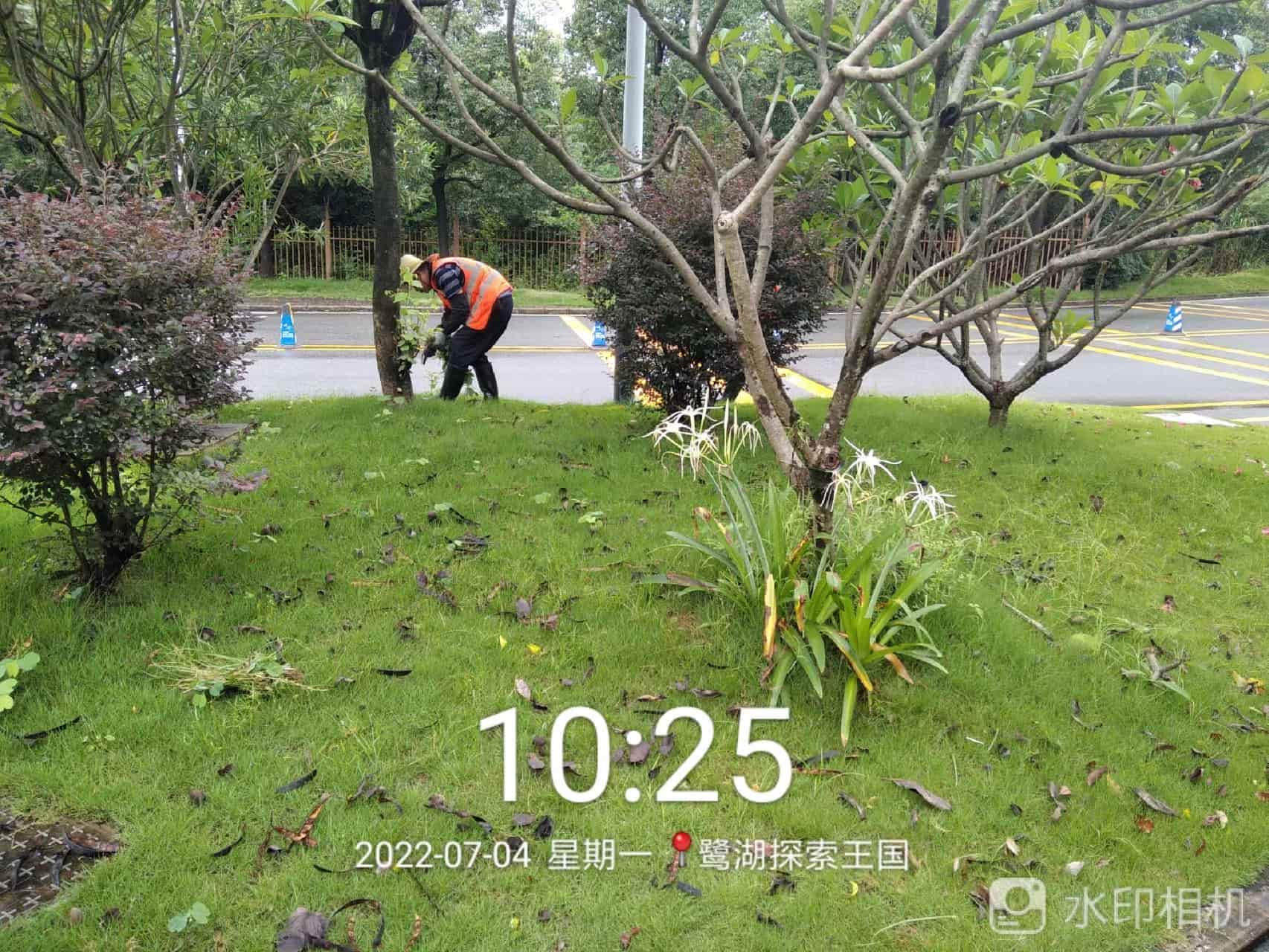 绿化养护,园林绿化养护公司