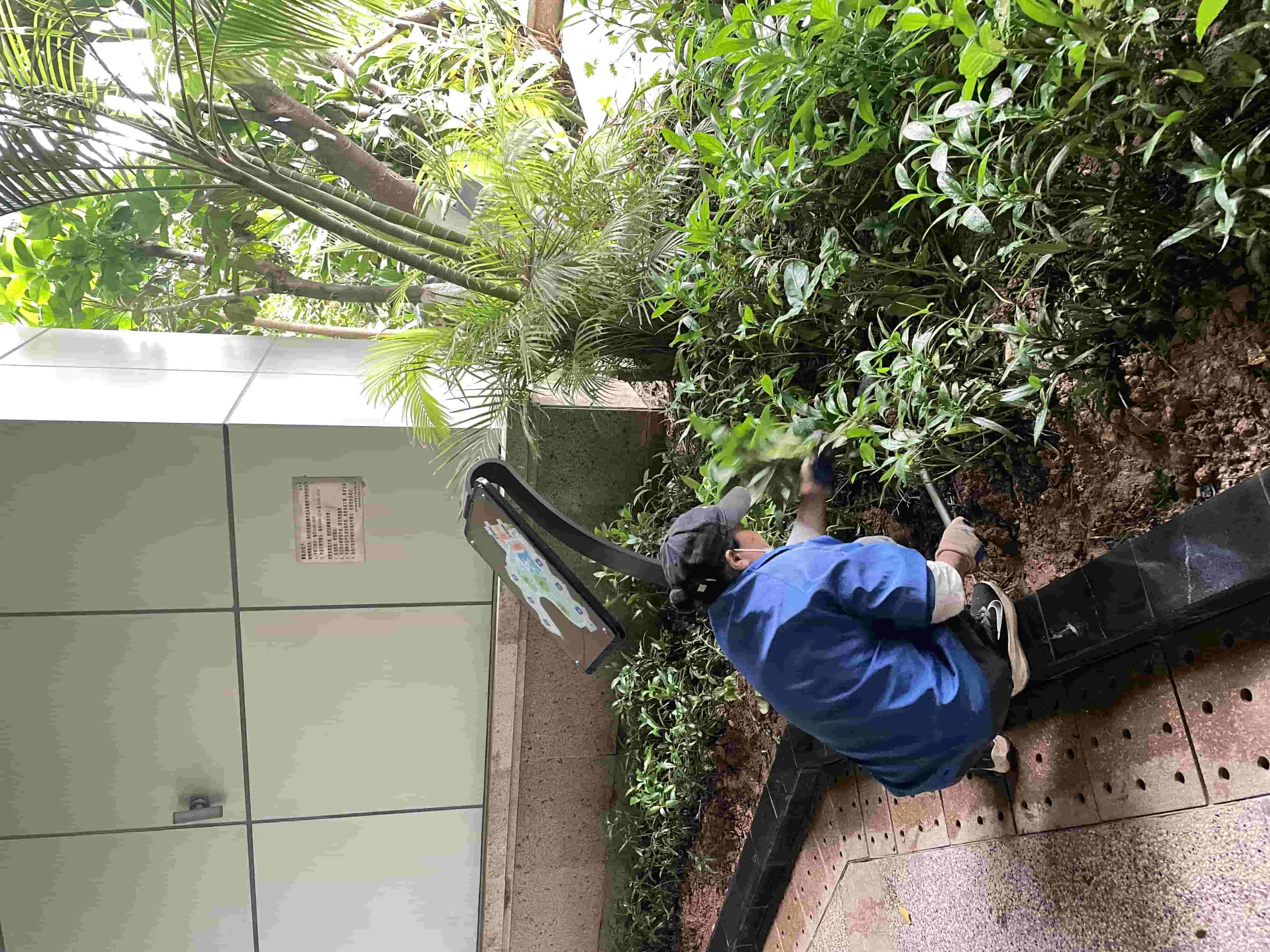 园林绿化 园林绿化