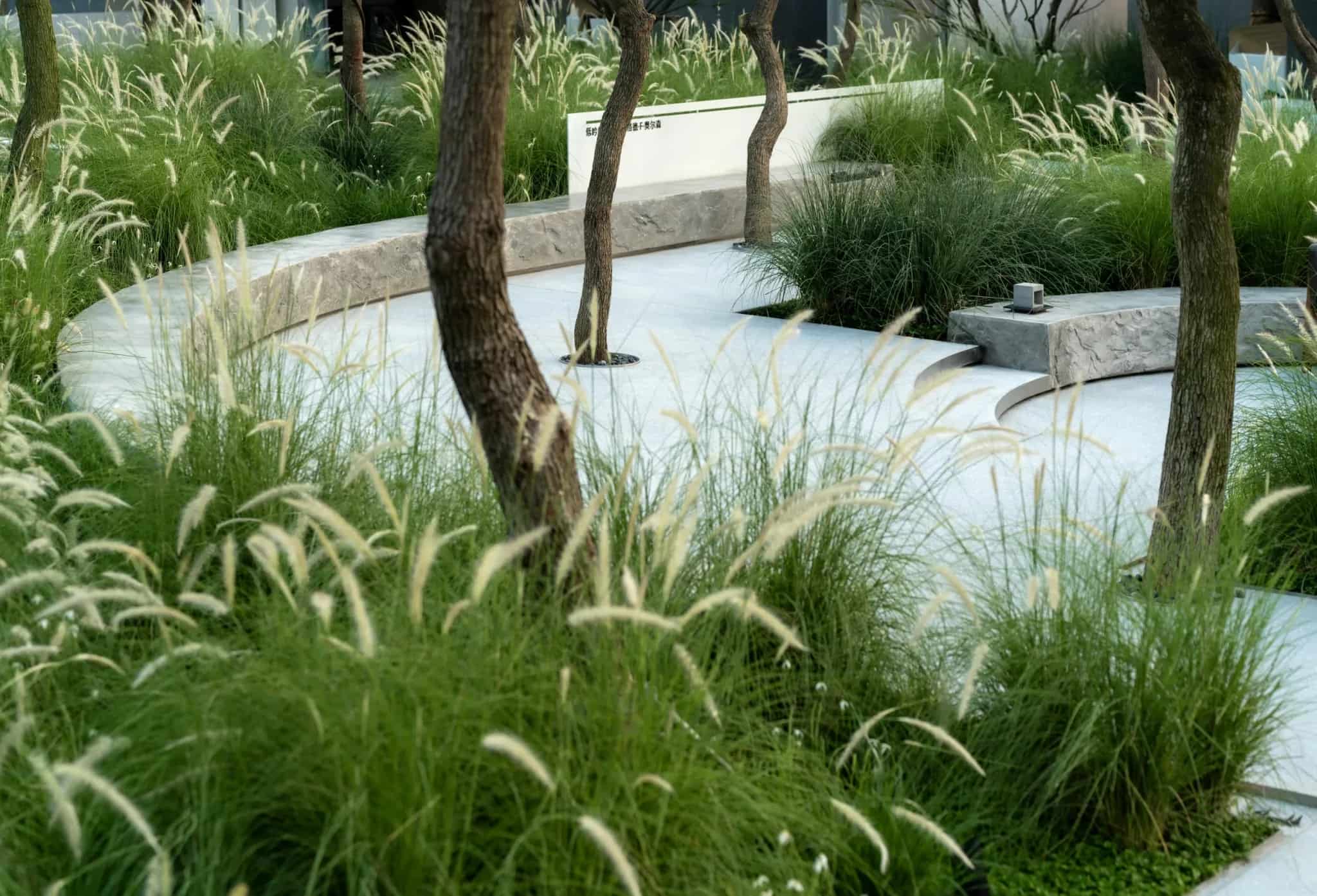 景观设计 景观设计